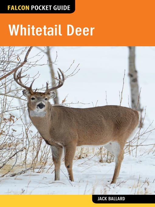 Title details for Whitetail Deer by Jack Ballard - Available